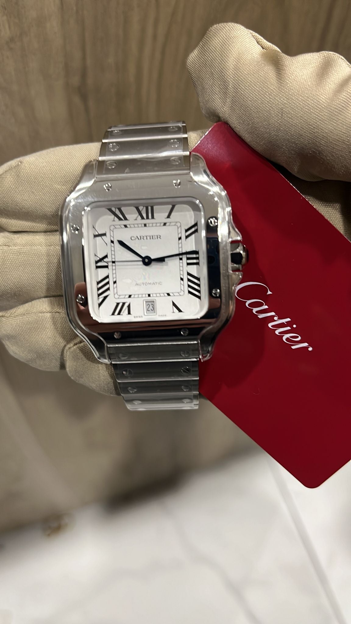 Cartier Santos Steel WSSA0018