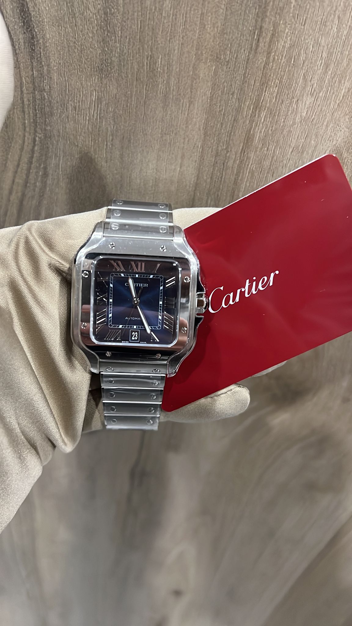 Cartier  Steel WSSA0030